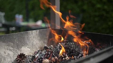Fireplace Fire Flames Embers Pine Conifer cone. Terrace BBQ slow motion. 스톡 동영상 128450361