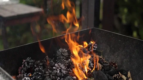 Fireplace Fire Flames Embers Pine Conifer cone. Terrace BBQ slow motion. 스톡 동영상 128450415