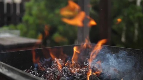 Fireplace Fire Flames Embers Pine Conifer cone. Terrace BBQ slow motion. Stock Footage 128450487