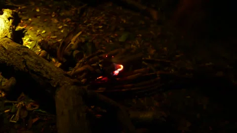 Fireplace Stock Footage 161538742