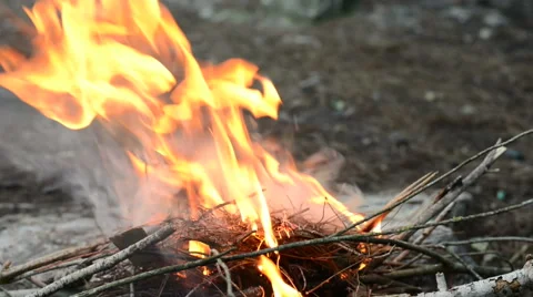 Fireplace in forest Stock Footage 45296579