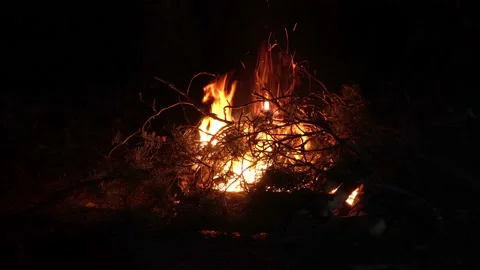 Fireplace in the forest at night Stock Footage 141764594