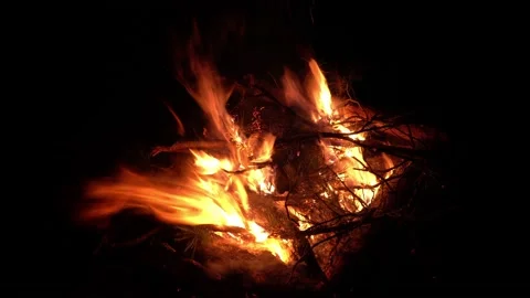 Fireplace in the forest at night at strong wind Stock Footage 141764646