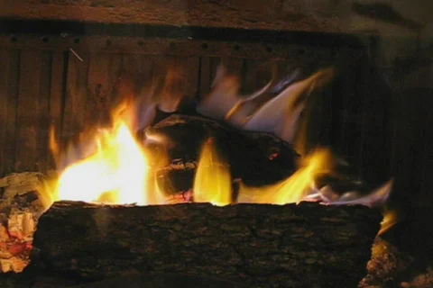 Fireplace full of fire Stock Footage 116140