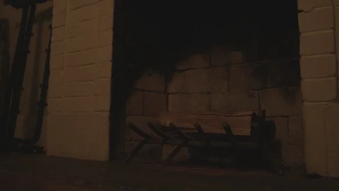Fireplace Log Static  Vidéo 125135950