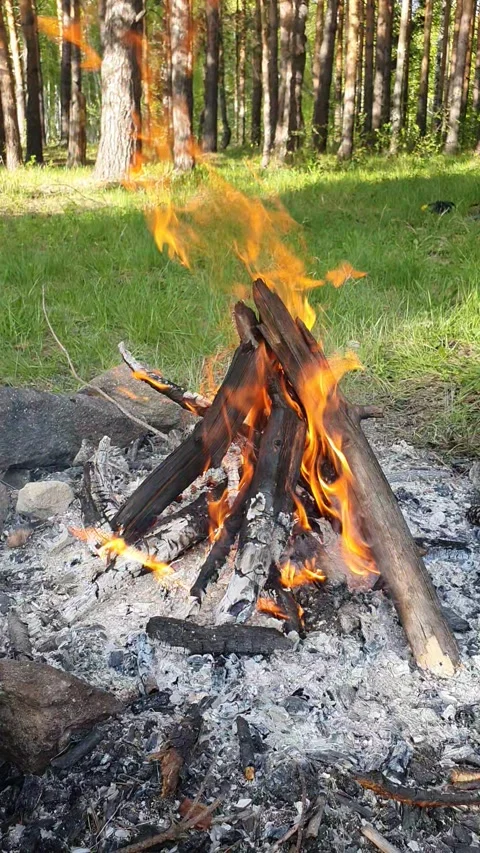 а fireplace in nature Stock Footage 274933734