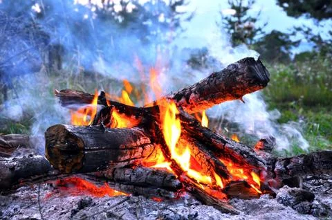 Fireplace Stock Photos