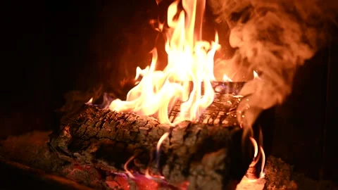 Fireplace With Real Flames And Burning Logs, Slowmotion Stock Footage 263887910