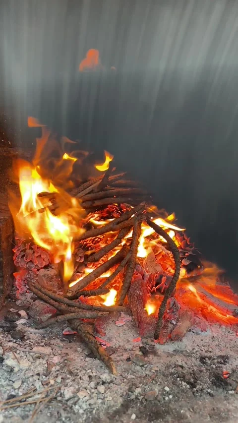 Fireplace vertical oriented footage with sound Stock Footage 172236644