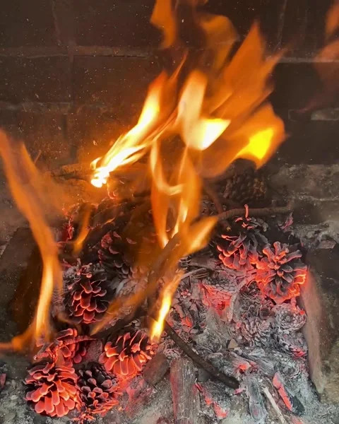 Fireplace vertical oriented footage with sound Stock Footage 172236738