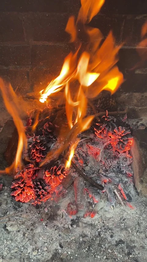 Fireplace vertical oriented footage with sound Stock Footage 172237315