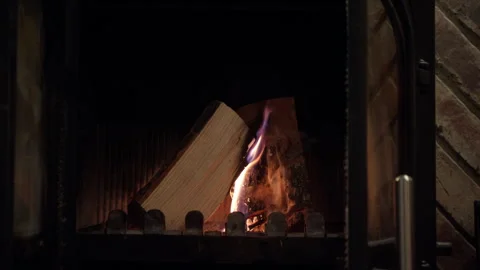 Fireplace in which dry logs burn heats house and creates coziness and comfort in Stock Footage 289575507