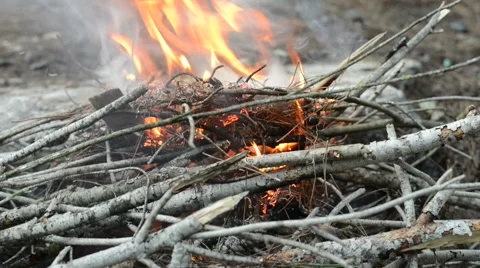 Fireplace in wild forest Stock Footage 45295871
