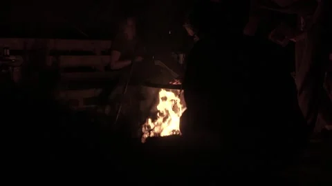 Fireplace, Wood, Fire Stock Footage 143742459