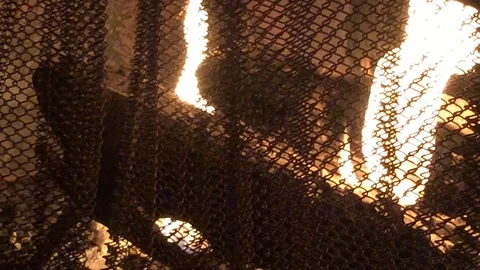 Fireplace2 Stock Footage 97968171