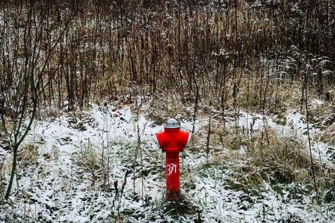 Fireplug on meadow Stock Photos
