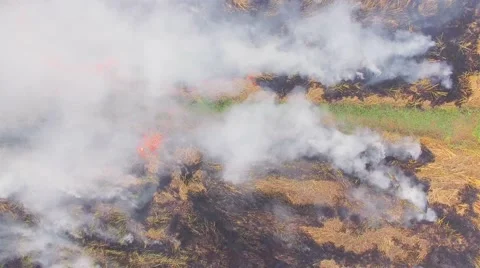 Fires caused by people who do. Stock Footage 58178332