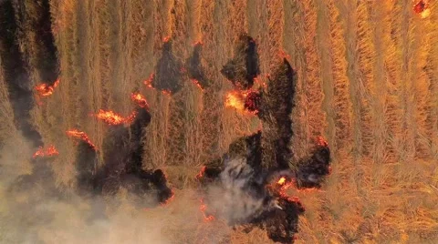 Fires caused by people who do. Stock Footage 58180952