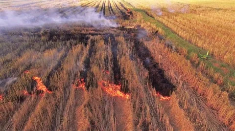 Fires caused by people who do. Stock Footage 58180992