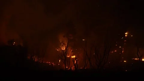 Fires devour 14,000 hectares in Syria during the sixth consecutive day, Latakia, Stock Footage 312702355