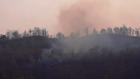 Fires to devour forests across the slopes of the Mountains hill Stock Footage 297878356