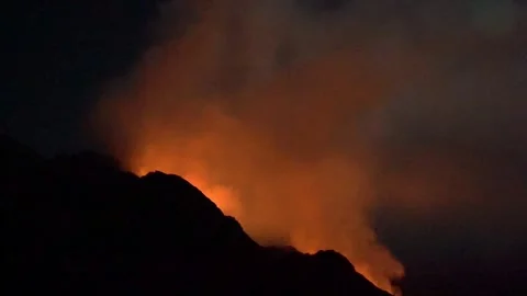Fires to devour forests Stock Footage 299777674