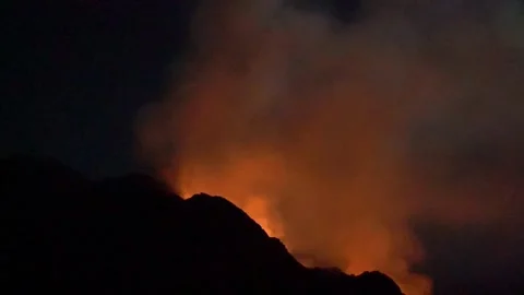 Fires to devour forests Stock Footage 299778494