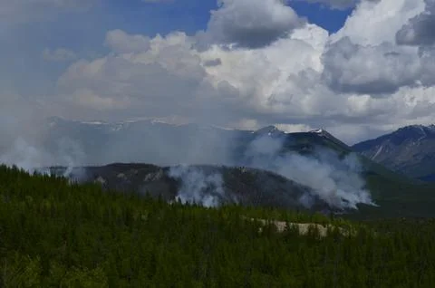 Fires at forest Stock Photos