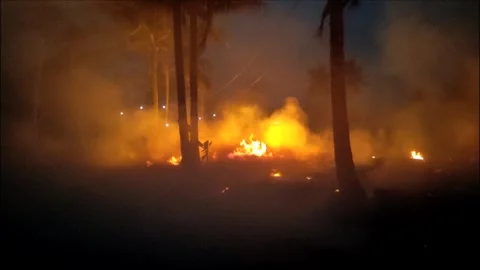 Fires at night with large fires burning in gardens and forests Stock Footage 250206311