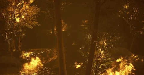 Fires raging through a dense forest during a dark evening in the summer 스톡 일러스트