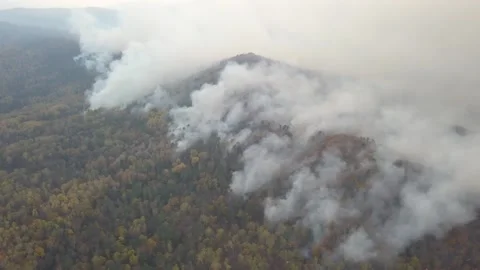 Fires in Russian forest, Transbaikal forest in fire, burning of Video stock 239255329
