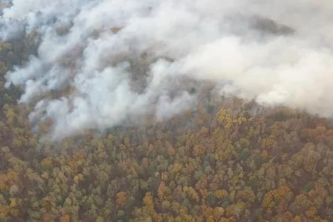 Fires in Russian forest, Transbaikal forest in fire, burning of Stock Photos