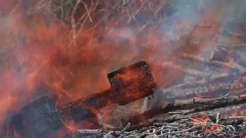 FIRESALE6 Stock Footage 273985898