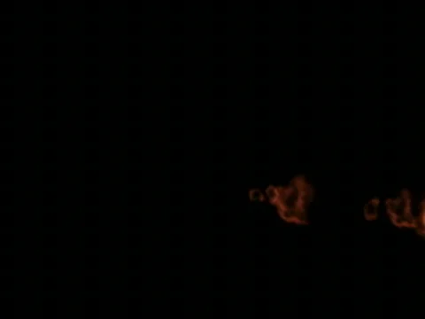 FIRESNAKE 스톡 동영상 359936