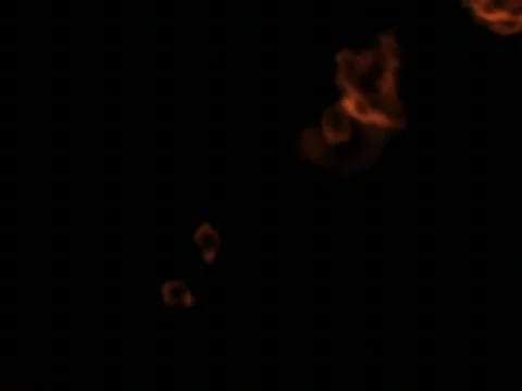 FIRESNAKE2 Видео 360948