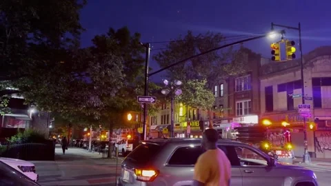 Firetruck lights Video stock 196849137