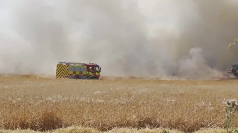 Firetrucks arriving at a wildfire Stock Footage 245395256