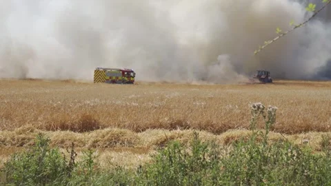 Firetrucks arriving at a wildfire Stock Footage 245395257