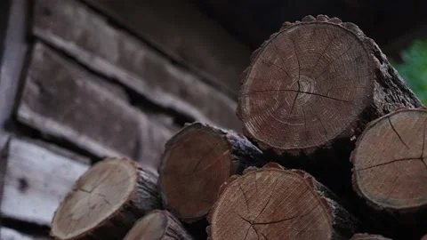 Firewood 10 Stock Footage 205069024