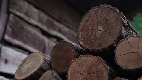 Firewood 11 Stock Footage 205066570
