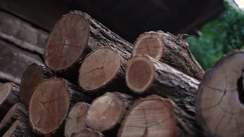 Firewood 15 Stock Footage 205066125