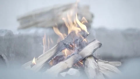 Firewood and campfire Stock Footage 271174504