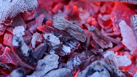 Firewood and coals burning in a fire - close-up view footage. Stock Footage 219213125