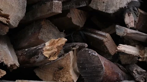 Firewood and logs from different types of wood in a chaotic manner Stock Footage 172567850