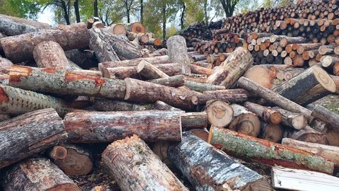 Firewood and logs. Solid fuel. Chipped wood firewood. Stock Footage 117192471