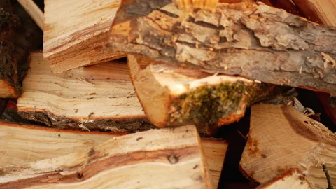 Firewood that are on the ground Stock Footage 165857647
