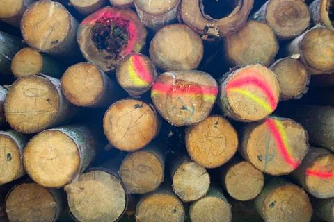 Firewood background image Stock Photos