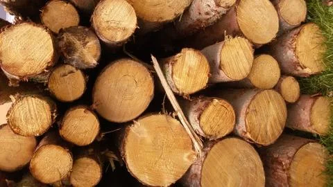 Firewood - background Stock Photos