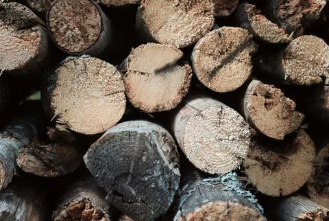 Firewood background Stock Photos