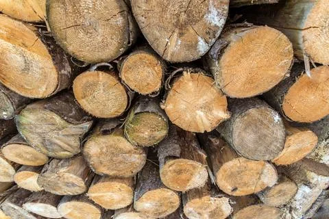 Firewood background Stock Photos
